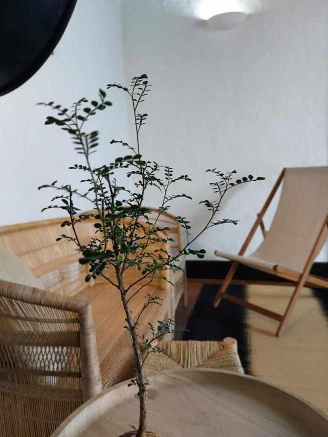 Casa Yooj Designers House In Teguise Daire Teguise  Dış mekan fotoğraf